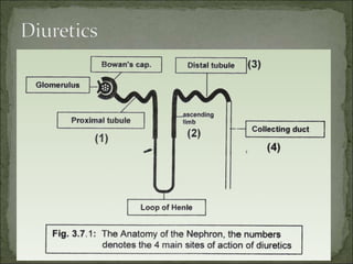 Diuretics | PPT