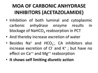 MOA OF CARBONIC ANHYDRASE
INHIBITORS (ACETAZOLAMIDE)
• Inhibition of both luminal and cytoplasmic
carbonic anhydrase enzyme results in
blockage of NaHCO3 reabsorption in PCT
• And thereby increase excretion of water
• Besides Na+ and HCO3
-, CA inhibitors also
increase excretion of Cl- and K+ ; but have no
effect on Ca++ and Mg++ reabsorption
• It shows self limiting diuretic action
 