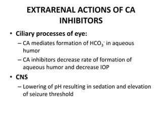 EXTRARENAL ACTIONS OF CA
INHIBITORS
• Ciliary processes of eye:
– CA mediates formation of HCO3
- in aqueous
humor
– CA inhibitors decrease rate of formation of
aqueous humor and decrease IOP
• CNS
– Lowering of pH resulting in sedation and elevation
of seizure threshold
 
