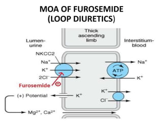MOA OF FUROSEMIDE
(LOOP DIURETICS)
 