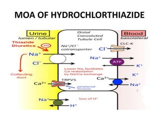 MOA OF HYDROCHLORTHIAZIDE
 