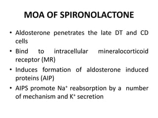 MOA OF SPIRONOLACTONE
• Aldosterone penetrates the late DT and CD
cells
• Bind to intracellular mineralocorticoid
receptor (MR)
• Induces formation of aldosterone induced
proteins (AIP)
• AIPS promote Na+ reabsorption by a number
of mechanism and K+ secretion
 