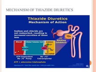 Diuretics | PPTX