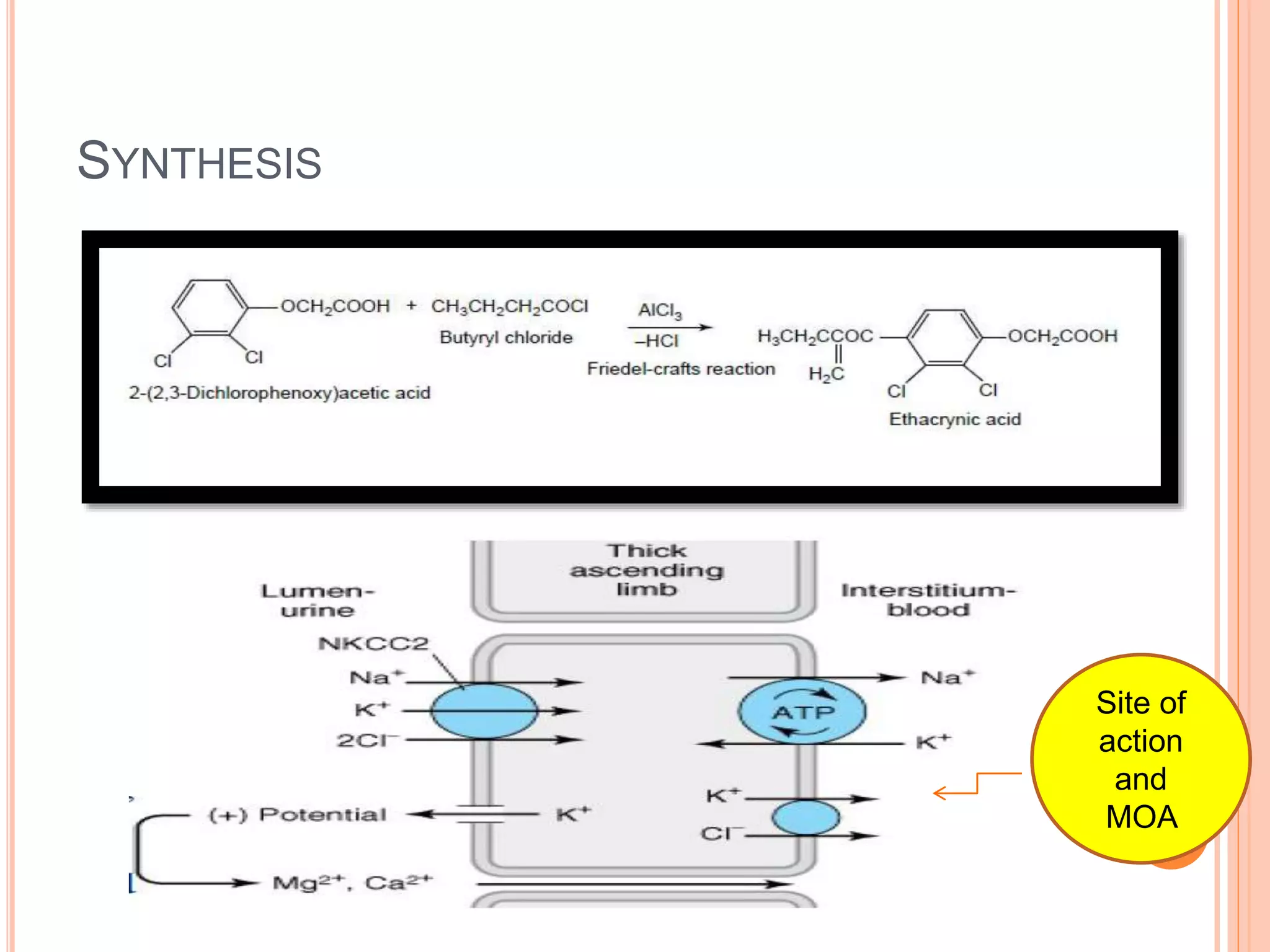 SYNTHESIS
Site of
action
and
MOA
 