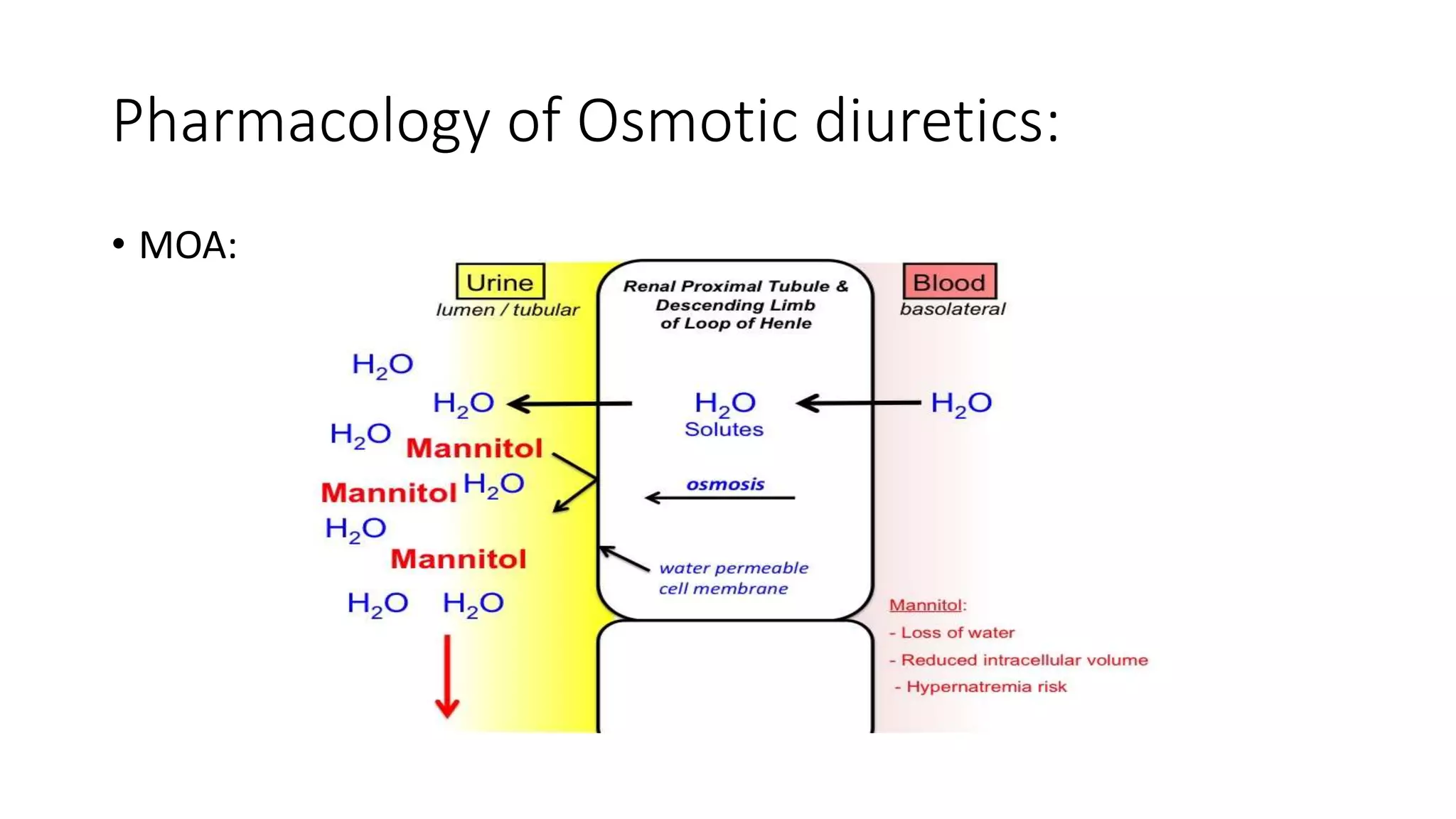 Pharmacology of Osmotic diuretics:
• MOA:
 