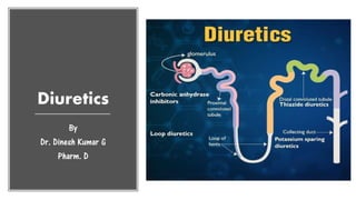 Diuretics
By
Dr. Dinesh Kumar G
Pharm. D
 