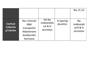 Na, Cl, Ca
Cortical
Collectin
gTubules
Na+ channel
K&H
transporter
Aldosterone
Antidiuretic
hormone
5% Na
reabsorptio
nK & H
secretion
K-sparing
diuretics
Na
reabsorpti
onK & H
secretion
 