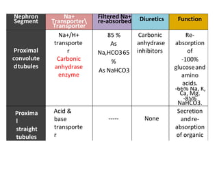 Nephron
Segment
Na+
Transporter
Transporter
Filtered Na+
re-absorbed Diuretics Function
Proximal
convolute
dtubules
Na+/H+
transporte
r
Carbonic
anhydrase
enzyme
85 %
As
Na,HCO365
%
As NaHCO3
Carbonic
anhydrase
inhibitors
Re-
absorption
of
-100%
glucoseand
amino
acids.
-66% Na, K,
Ca, Mg.
-85%
NaHCO3.
Proxima
l
straight
tubules
Acid &
base
transporte
r
----- None
Secretion
andre-
absorption
of organic
 