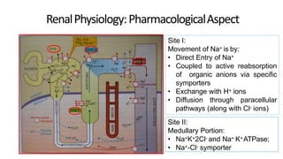 diuretics.pptx