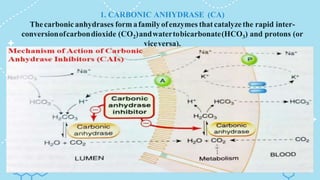 1. CARBONIC ANHYDRASE (CA)
Thecarbonicanhydrases formafamilyofenzymes thatcatalyzethe rapid inter-
conversionofcarbondioxide (CO2)andwatertobicarbonate(HCO3) and protons (or
viceversa).
 