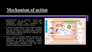 Mechanism of action
• Spironolactone is a synthetic steroid that
antagonizes aldosterone at intracellular
cytoplasmic receptor sites rendering the
spironolactone–receptor complex inactive.
• It prevents translocation of the receptor complex
into the nucleus of the target cell, ultimately
resulting in a failure to produce mediator proteins
that normally stimulate the Na+/K+-exchange sites
of the collecting tubule.
• Thus, a lack of mediator proteins prevents Na+
reabsorption and, therefore, K+ and H+ secretion.
Eplerenone is another aldosterone receptor
antagonist, which has actions comparable to those
of spironolactone, although it may have fewer
endocrine effects than spironolactone
 