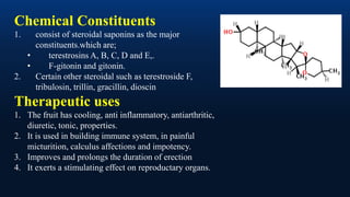 Chemical Constituents
1. consist of steroidal saponins as the major
constituents.which are;
• terestrosins A, B, C, D and E,.
• F-gitonin and gitonin.
2. Certain other steroidal such as terestroside F,
tribulosin, trillin, gracillin, dioscin
Therapeutic uses
1. The fruit has cooling, anti inflammatory, antiarthritic,
diuretic, tonic, properties.
2. It is used in building immune system, in painful
micturition, calculus affections and impotency.
3. Improves and prolongs the duration of erection
4. It exerts a stimulating effect on reproductary organs.
 