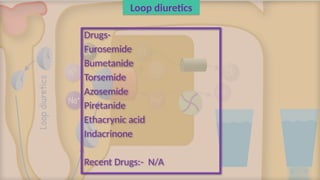 Loop diuretics
Drugs-
Furosemide
Bumetanide
Torsemide
Azosemide
Piretanide
Ethacrynic acid
Indacrinone
Recent Drugs:- N/A
 