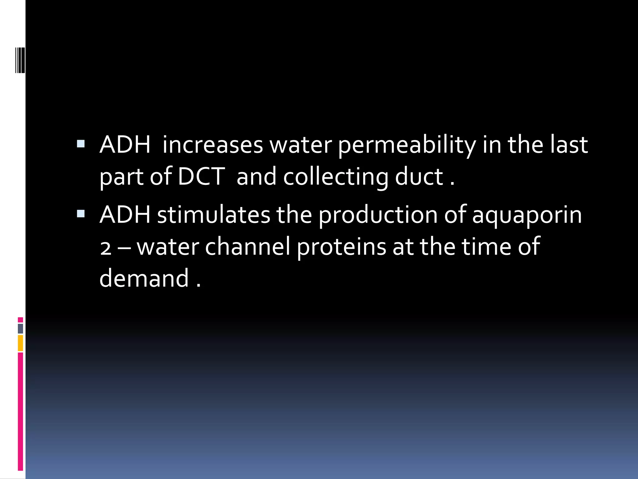  ADH increases water permeability in the last
part of DCT and collecting duct .
 ADH stimulates the production of aquaporin
2 – water channel proteins at the time of
demand .
 