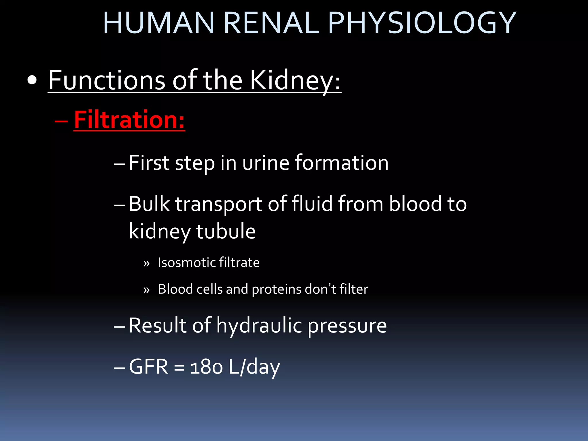 HUMAN RENAL PHYSIOLOGY
• Functions of the Kidney:
– Filtration:
– First step in urine formation
– Bulk transport of fluid from blood to
kidney tubule
» Isosmotic filtrate
» Blood cells and proteins don’t filter
– Result of hydraulic pressure
– GFR = 180 L/day
 