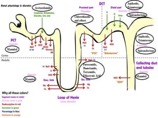 Diuretics | PPTX