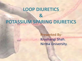 LOOP DIURETICS
&
POTASSIUM SPARING DIURETICS
Presented By-
Krushangi Shah.
Nirma University.
 