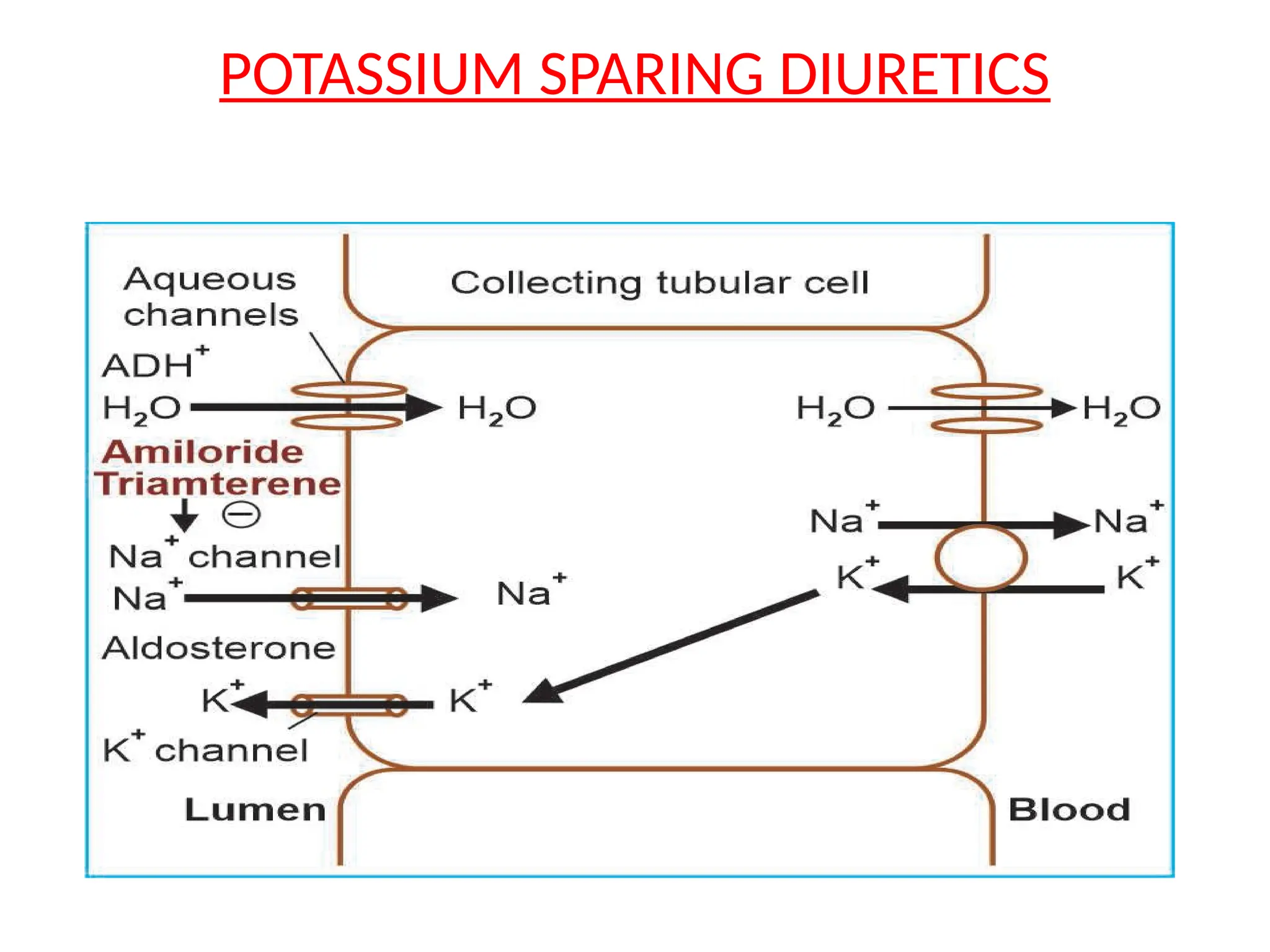 POTASSIUM SPARING DIURETICS
 