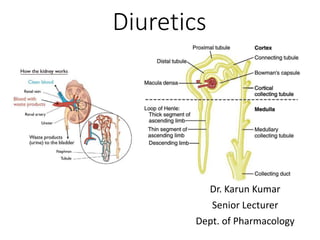 Diuretics
Dr. Karun Kumar
Senior Lecturer
Dept. of Pharmacology
 