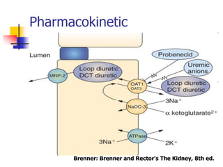Pharmacokinetic




      Brenner: Brenner and Rector's The Kidney, 8th ed.
 