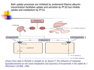 Both uptake processes are inhibited by probenecid. Plasma albumin
      concentration facilitates uptake and secretion by PT-S2 but inhibits
      uptake and metabolism by PT-S1.




(Drawn from data in Pichette V, Geadah D, du Souich P: The influence of moderate
hypoalbuminemia on the renal metabolism and dynamics of furosemide in the rabbit. Br J
Pharmacol 119:885, 1996.)
 