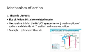 Mechanisms and Management of diuretics and loops | PPTX