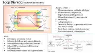 DIURETICS and its Classification, mechanism of action | PPTX