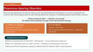 CLASS 4
Potassium-Sparing Diuretics
Potassium-sparing diuretics are diuretics that act on the late distal tubule and collecting duct to increase sodium and water
excretion while conserving potassium by either blocking aldosterone receptors or inhibiting epithelial sodium (ENaC) channels.
Weakest natriuretic effect — valued for conserving K⁺
Two distinct sub-mechanisms converge on the same principal cell target
4a. Aldosterone Antagonists
Spironolactone, Eplerenone
Competitively block the mineralocorticoid receptor —
indirect action
4b. ENaC Blockers
Amiloride, Triamterene
Directly plug the epithelial Na⁺ channel — aldosterone-
independent
SHARED SITE & EFFECT
✦Both act on principal cells of the late DCT / collecting duct — the site aldosterone normally acts
✦Both ↓ Na⁺ reabsorption while ↓ K⁺ and H⁺ secretion → mild diuresis with potassium conservation
✦Main risk with both: hyperkalemia, especially combined with ACE inhibitors, ARBs or renal impairment
 