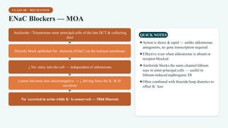 CLASS 4B · MECHANISM
ENaC Blockers — MOA
Amiloride / Triamterene enter principal cells of the late DCT & collecting
duct
Directly block epithelial Na⁺ channels (ENaC) on the luminal membrane
↓ Na⁺ entry into the cell — independent of aldosterone
Lumen becomes less electronegative → ↓ driving force for K⁺ & H⁺
secretion
Na⁺ excreted in urine while K⁺ is conserved — Mild Diuresis
QUICK NOTES
✦Action is direct & rapid — unlike aldosterone
antagonists, no gene transcription required
✦Effective even when aldosterone is absent or
receptor-blocked
✦Amiloride blocks the same channel lithium
uses to enter principal cells — useful in
lithium-induced nephrogenic DI
✦Often combined with thiazide/loop diuretics to
offset K⁺ loss
 