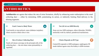 INTRODUCTION
ANTIDIURETICS
01 Goal: Conserve Body Water
Used mainly to treat polyuric states (diabetes insipidus)
where excessive dilute urine is lost.
02 Not All Act on ADH Directly
Some are true ADH analogues; others (thiazides, NSAIDs,
amiloride) work by indirect, paradoxical mechanisms.
03 Site of Action: Collecting Duct
Nearly all classes converge on the principal cells of the
collecting duct — the site where water permeability is
regulated.
04 Choice Depends on DI Type
Central DI responds to ADH analogues; nephrogenic DI
needs indirect agents since the kidney is ADH-resistant.
Antidiuretics are agents that reduce the rate of urine formation, chiefly by enhancing water reabsorption in the renal
collecting duct — either by mimicking ADH, potentiating its action, or indirectly limiting fluid delivery to the
diluting segments.
 