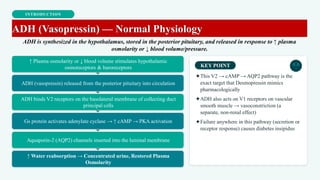 INTRODUCTION
ADH (Vasopressin) — Normal Physiology
ADH is synthesized in the hypothalamus, stored in the posterior pituitary, and released in response to ↑ plasma
osmolarity or ↓ blood volume/pressure.
↑ Plasma osmolarity or ↓ blood volume stimulates hypothalamic
osmoreceptors & baroreceptors
ADH (vasopressin) released from the posterior pituitary into circulation
ADH binds V2 receptors on the basolateral membrane of collecting duct
principal cells
Gs protein activates adenylate cyclase → ↑ cAMP → PKA activation
Aquaporin-2 (AQP2) channels inserted into the luminal membrane
↑ Water reabsorption → Concentrated urine, Restored Plasma
Osmolarity
KEY POINT
✦This V2 → cAMP → AQP2 pathway is the
exact target that Desmopressin mimics
pharmacologically
✦ADH also acts on V1 receptors on vascular
smooth muscle → vasoconstriction (a
separate, non-renal effect)
✦Failure anywhere in this pathway (secretion or
receptor response) causes diabetes insipidus
 
