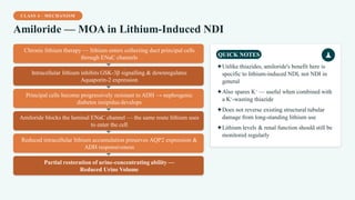 CLASS 4 · MECHANISM
Amiloride — MOA in Lithium-Induced NDI
Chronic lithium therapy — lithium enters collecting duct principal cells
through ENaC channels
Intracellular lithium inhibits GSK-3β signalling & downregulates
Aquaporin-2 expression
Principal cells become progressively resistant to ADH → nephrogenic
diabetes insipidus develops
Amiloride blocks the luminal ENaC channel — the same route lithium uses
to enter the cell
Reduced intracellular lithium accumulation preserves AQP2 expression &
ADH responsiveness
Partial restoration of urine-concentrating ability —
Reduced Urine Volume
QUICK NOTES
✦Unlike thiazides, amiloride's benefit here is
specific to lithium-induced NDI, not NDI in
general
✦Also spares K⁺ — useful when combined with
a K⁺-wasting thiazide
✦Does not reverse existing structural tubular
damage from long-standing lithium use
✦Lithium levels & renal function should still be
monitored regularly
 