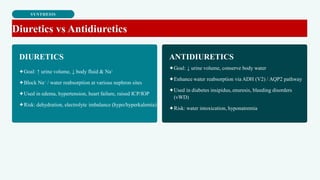SYNTHESIS
Diuretics vs Antidiuretics
DIURETICS ANTIDIURETICS
✦Goal: ↑ urine volume, ↓ body fluid & Na⁺
✦Block Na⁺ / water reabsorption at various nephron sites
✦Used in edema, hypertension, heart failure, raised ICP/IOP
✦Risk: dehydration, electrolyte imbalance (hypo/hyperkalemia)
✦Goal: ↓ urine volume, conserve body water
✦Enhance water reabsorption via ADH (V2) / AQP2 pathway
✦Used in diabetes insipidus, enuresis, bleeding disorders
(vWD)
✦Risk: water intoxication, hyponatremia
 