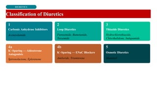 DIURETICS
Classification of Diuretics
Carbonic Anhydrase Inhibitors
Acetazolamide
Loop Diuretics
Furosemide, Bumetanide,
Torsemide
Thiazide Diuretics
Hydrochlorothiazide,
Chlorthalidone, Indapamide
K⁺-Sparing — Aldosterone
Antagonists
Spironolactone, Eplerenone
K⁺-Sparing — ENaC Blockers
Amiloride, Triamterene
Osmotic Diuretics
Mannitol
 
