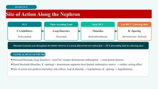 DIURETICS
Site of Action Along the Nephron
PCT
CA Inhibitors
Acetazolamide
Thick Ascending Limb
Loop Diuretics
Furosemide
Early DCT
Thiazides
Hydrochlorothiazide
Late DCT / Collecting Duct
K⁺-Sparing
Spironolactone, Amiloride
Mannitol (osmotic) acts throughout the tubule wherever it is freely filtered but not reabsorbed — PCT, descending limb & collecting duct
CLINICAL RULE OF THUMB
✦Proximal blockade (loop diuretics) = most Na⁺ escapes downstream reabsorption → most potent diuresis.
✦Distal blockade (thiazides, K⁺-sparing) = downstream segments have limited reabsorptive reserve → milder, ceiling effect.
✦Site of action also predicts electrolyte side-effects: loop & thiazide → hypokalemia; K⁺-sparing → hyperkalemia.
 