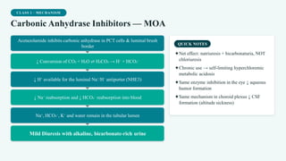 CLASS 1 · MECHANISM
Carbonic Anhydrase Inhibitors — MOA
Acetazolamide inhibits carbonic anhydrase in PCT cells & luminal brush
border
↓ Conversion of CO₂ + H₂O ⇌ H₂CO₃ → H⁺ + HCO₃⁻
↓ H⁺ available for the luminal Na⁺/H⁺ antiporter (NHE3)
↓ Na⁺ reabsorption and ↓ HCO₃⁻ reabsorption into blood
Na⁺, HCO₃⁻, K⁺ and water remain in the tubular lumen
Mild Diuresis with alkaline, bicarbonate-rich urine
QUICK NOTES
✦Net effect: natriuresis + bicarbonaturia, NOT
chloriuresis
✦Chronic use → self-limiting hyperchloremic
metabolic acidosis
✦Same enzyme inhibition in the eye ↓ aqueous
humor formation
✦Same mechanism in choroid plexus ↓ CSF
formation (altitude sickness)
 