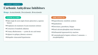 CLASS 1 · CLINICAL
Carbonic Anhydrase Inhibitors
Drugs: Acetazolamide, Dorzolamide, Brinzolamide
CLINICAL USES
✦Open-angle & acute angle-closure glaucoma (↓ aqueous
humor)
✦Prophylaxis & treatment of acute mountain sickness
✦Correction of metabolic alkalosis
✦Urinary alkalinization — cystine & uric acid stones
✦Adjunct in epilepsy (absence seizures)
✦Idiopathic intracranial hypertension
SIDE EFFECTS
✦Hyperchloremic metabolic acidosis
✦Hypokalemia
✦Drowsiness, paresthesia, fatigue
✦Renal calcium-phosphate stone formation
✦Sulfonamide hypersensitivity reactions
✦Contraindicated in hepatic cirrhosis (↑ ammonia →
encephalopathy)
 