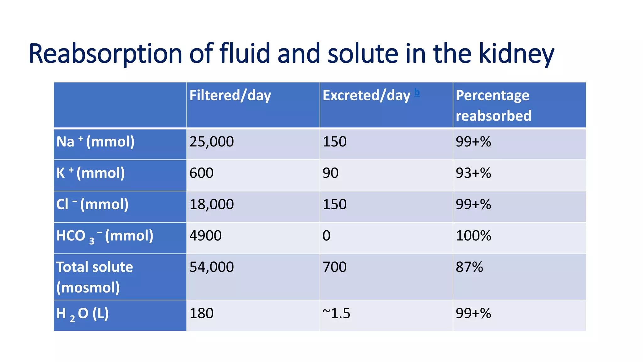 Reabsorption of fluid and solute in the kidney
Filtered/day Excreted/day b Percentage
reabsorbed
Na + (mmol) 25,000 150 99+%
K + (mmol) 600 90 93+%
Cl − (mmol) 18,000 150 99+%
HCO 3
− (mmol) 4900 0 100%
Total solute
(mosmol)
54,000 700 87%
H 2 O (L) 180 ~1.5 99+%
 