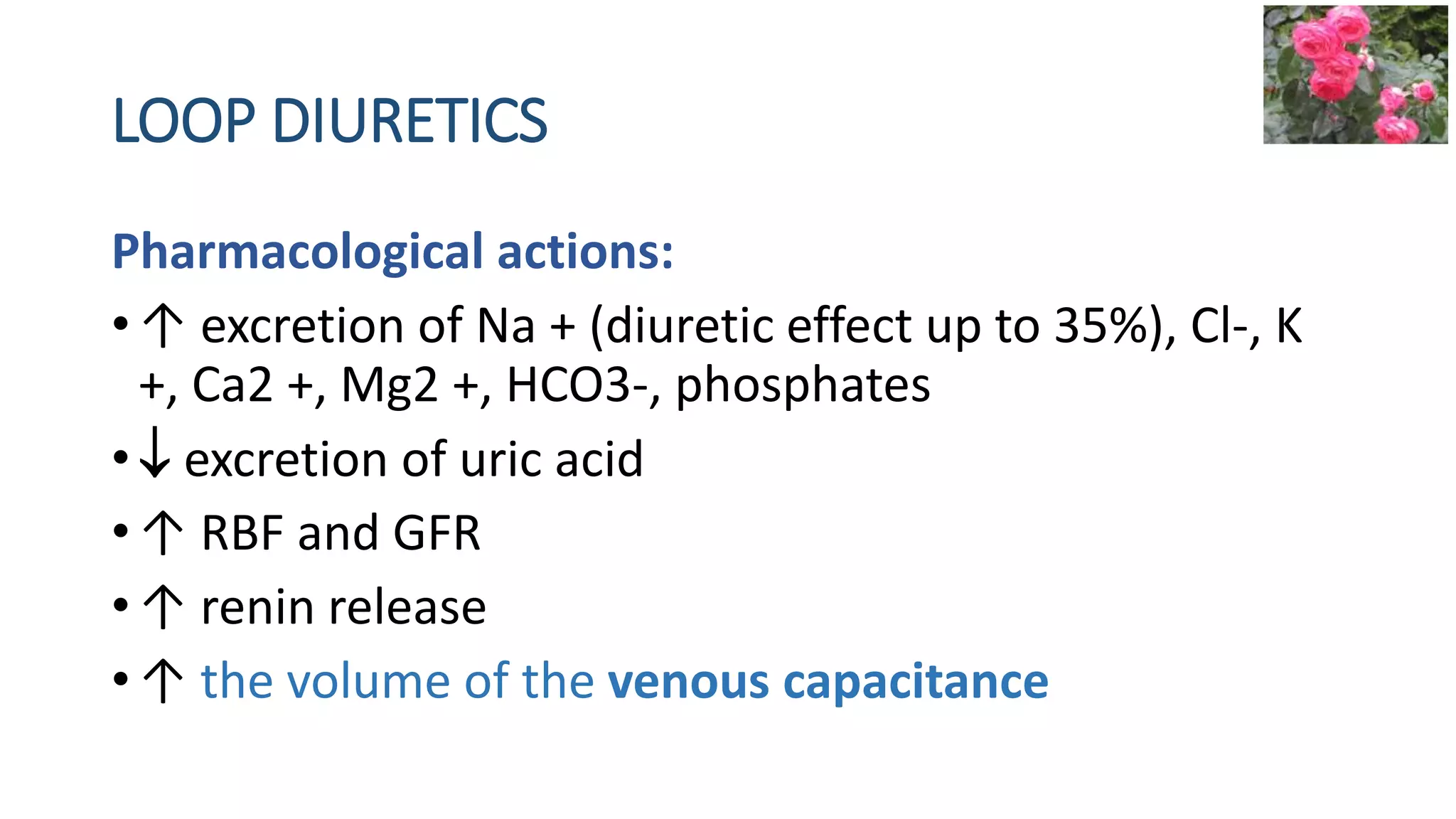 Pharmacological actions:
• ↑ excretion of Na + (diuretic effect up to 35%), Cl-, K
+, Ca2 +, Mg2 +, HCO3-, phosphates
•  excretion of uric acid
• ↑ RBF and GFR
• ↑ renin release
• ↑ the volume of the venous capacitance
LOOP DIURETICS
 