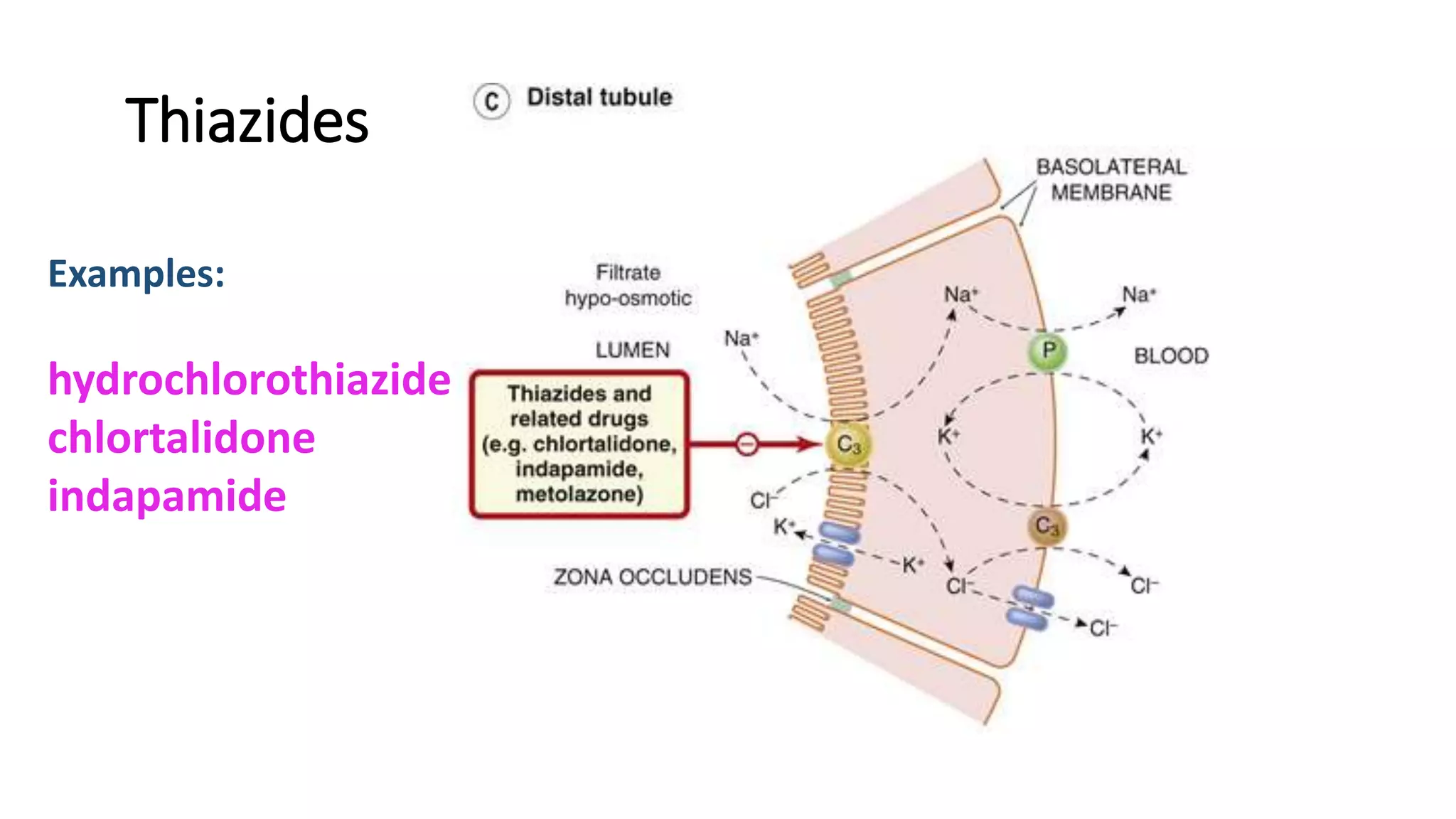 Thiazides
Examples:
hydrochlorothiazide
chlortalidone
indapamide
 