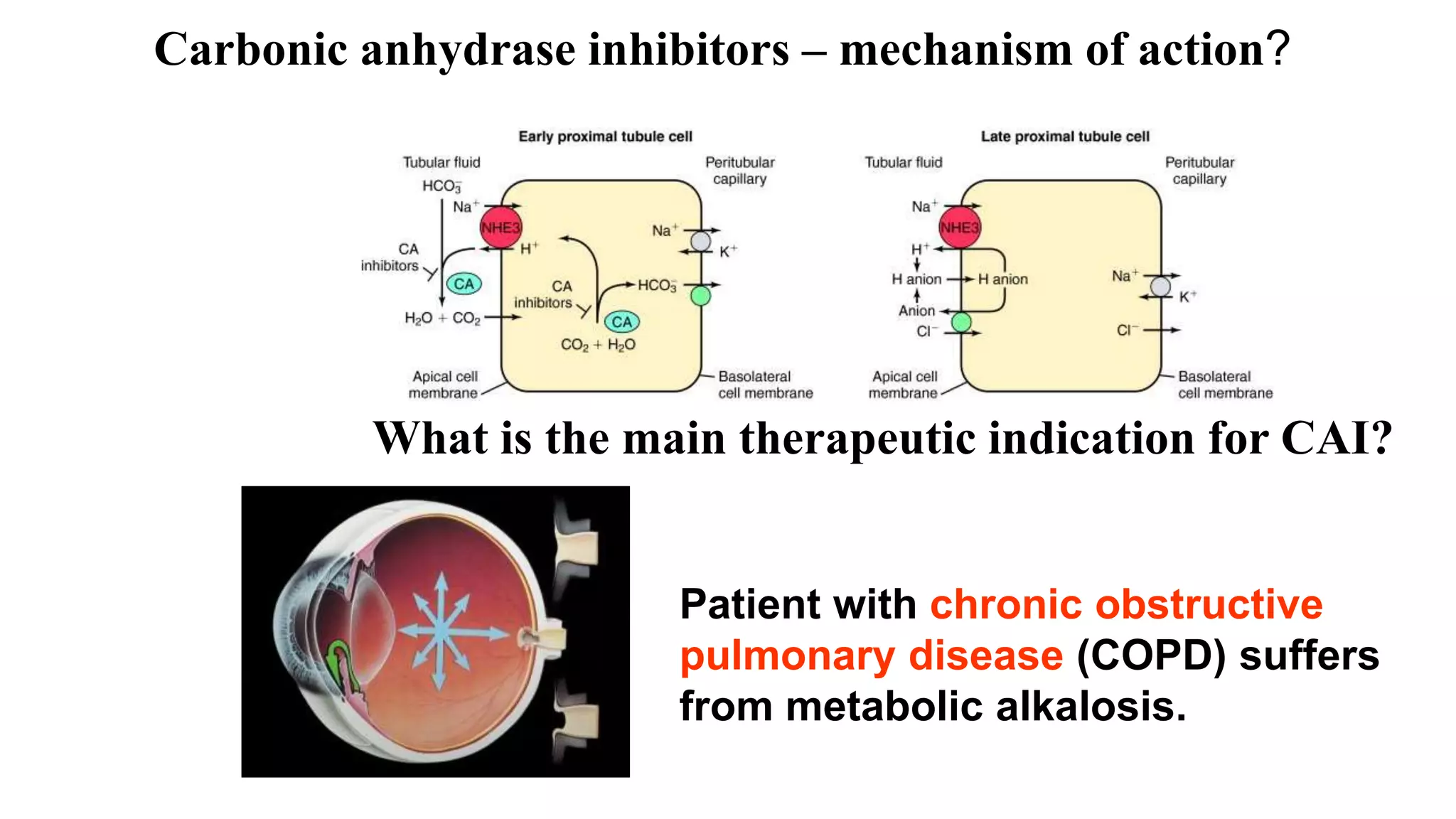 Carbonic anhydrase inhibitors – mechanism of action?
What is the main therapeutic indication for CAI?
Patient with chronic obstructive
pulmonary disease (COPD) suffers
from metabolic alkalosis.
 