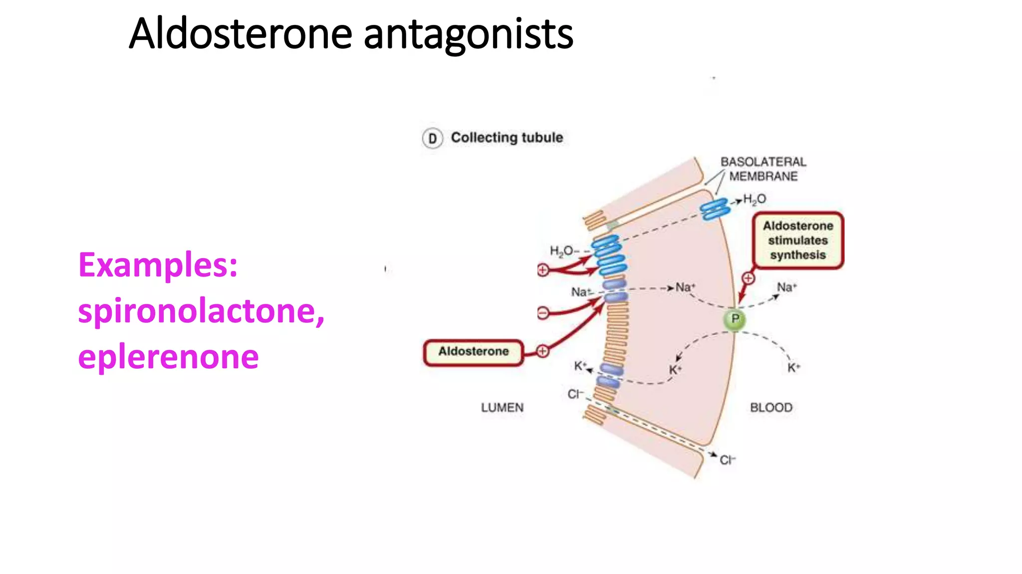 Aldosterone antagonists
Examples:
spironolactone,
eplerenone
 