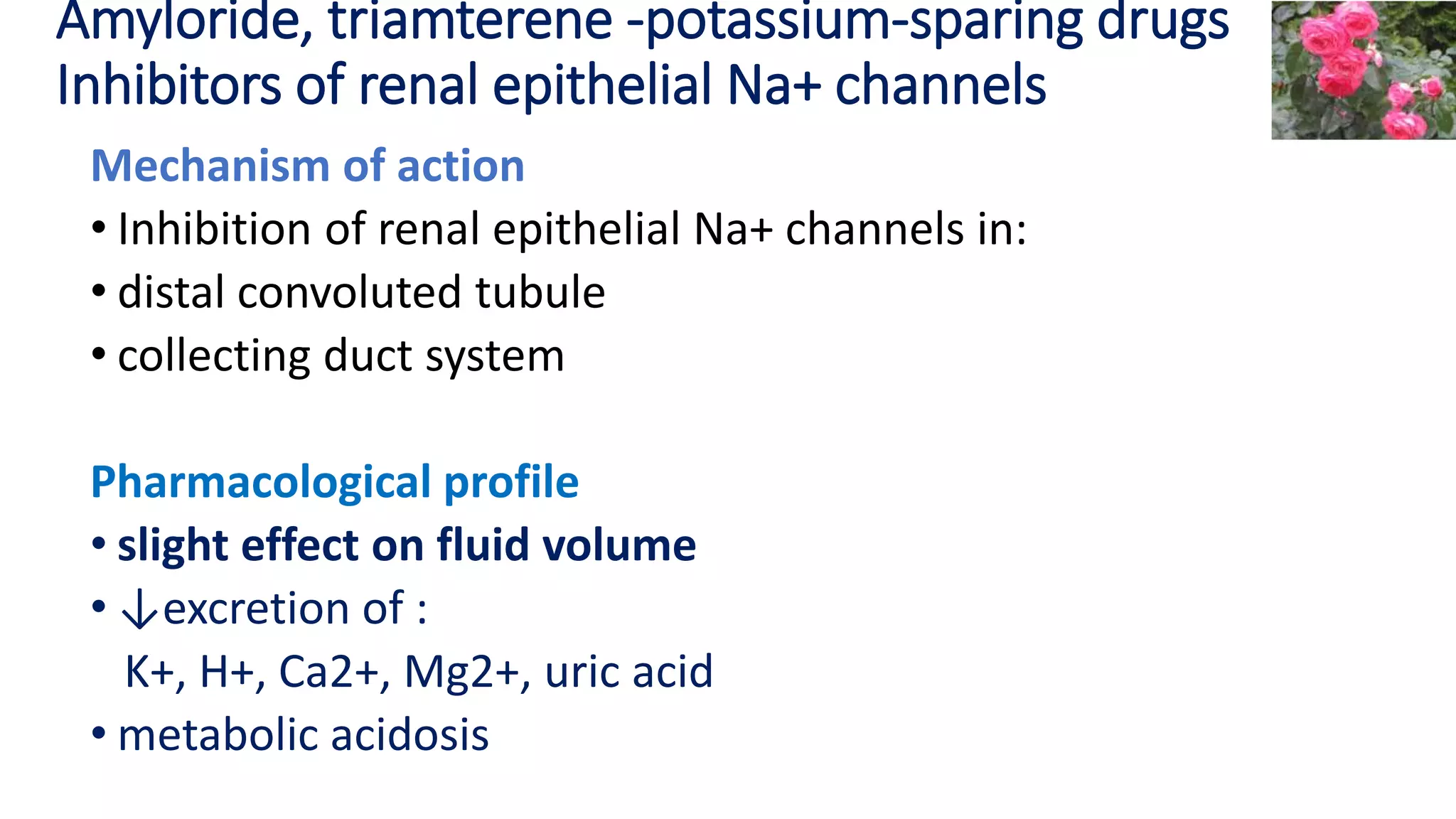 Amyloride, triamterene -potassium-sparing drugs
Inhibitors of renal epithelial Na+ channels
Mechanism of action
• Inhibition of renal epithelial Na+ channels in:
• distal convoluted tubule
• collecting duct system
Pharmacological profile
• slight effect on fluid volume
• ↓excretion of :
K+, H+, Ca2+, Mg2+, uric acid
• metabolic acidosis
 