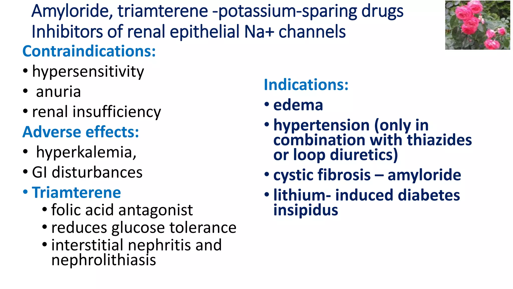Amyloride, triamterene -potassium-sparing drugs
Inhibitors of renal epithelial Na+ channels
Contraindications:
• hypersensitivity
• anuria
• renal insufficiency
Adverse effects:
• hyperkalemia,
• GI disturbances
• Triamterene
• folic acid antagonist
• reduces glucose tolerance
• interstitial nephritis and
nephrolithiasis
Indications:
• edema
• hypertension (only in
combination with thiazides
or loop diuretics)
• cystic fibrosis – amyloride
• lithium- induced diabetes
insipidus
 