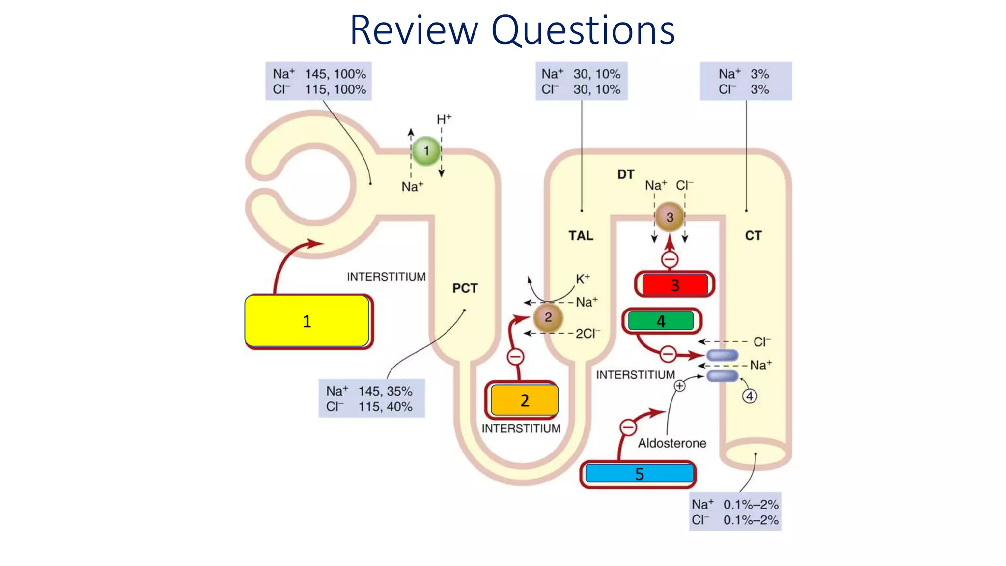Review Questions
1
2
3
4
5
 