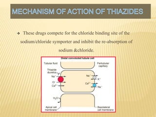  These drugs compete for the chloride binding site of the 
sodium/chloride symporter and inhibit the re-absorption of 
sodium &chloride. 
 