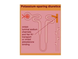 Drugs affecting the renal system Diuretics in ppt | PPT