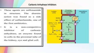 Carbonic Anhydrase Inhibitors
 