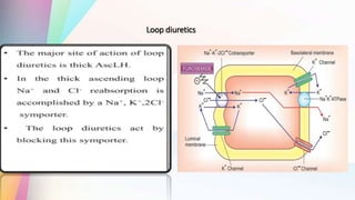 Loop diuretics
 
