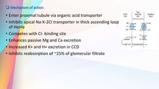  Mechanism of action:
• Enter proximal tubule via organic acid transporter
• Inhibits apical Na-K-2CI transporter in thick ascending loop
of Henle
• Competes with CI- binding site
• Enhances passive Mg and Ca excretion
• Increased K+ and H+ excretion in CCD
• Inhibits reabsorption of ~25% of glomerular filtrate
 